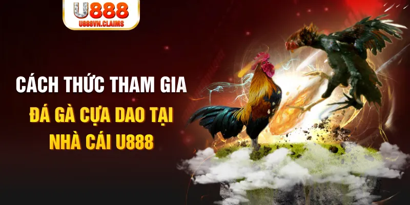 Cách thức tham gia đá gà cựa dao tại nhà cái U888