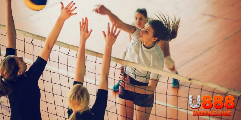 Chia sẻ kinh nghiệm cá cược bóng chuyền hiệu quả